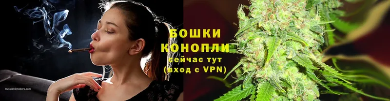 купить наркоту  Бородино  это официальный сайт  Марихуана Amnesia 